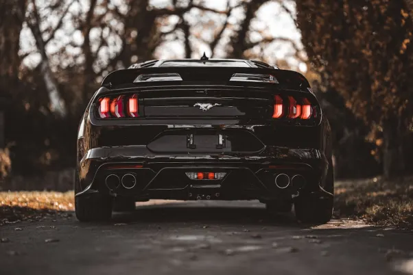 Winning Cazino Cazinou Aplicație Android/iOS